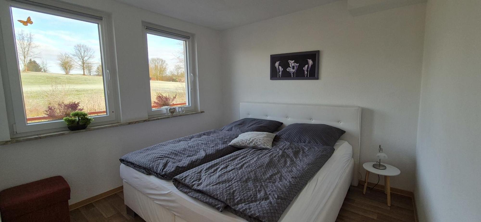 Ferienapartment Haus Am Gruen 2 "Sunshine" - Ruhe & Entspannung Mitten In Der Natur ヘルツベルク・アム・ハルツ エクステリア 写真