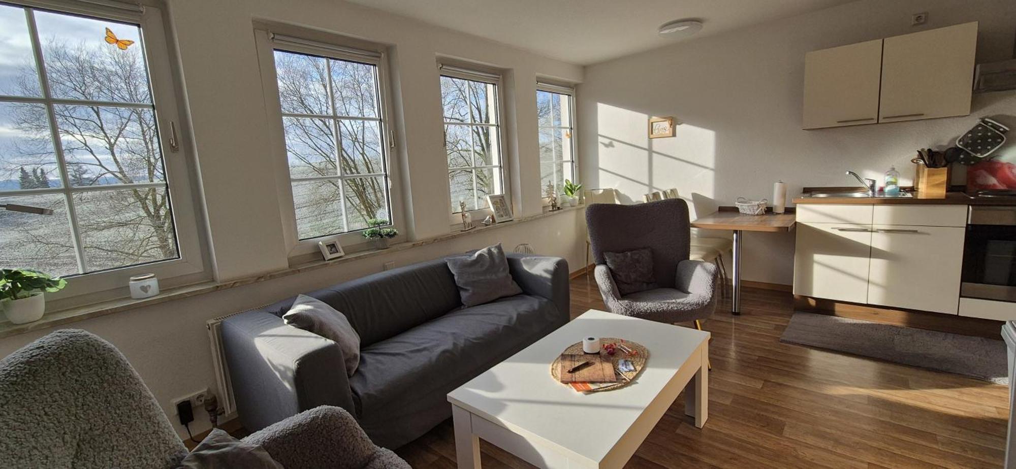 Ferienapartment Haus Am Gruen 2 "Sunshine" - Ruhe & Entspannung Mitten In Der Natur ヘルツベルク・アム・ハルツ エクステリア 写真